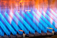 Treberfydd gas fired boilers